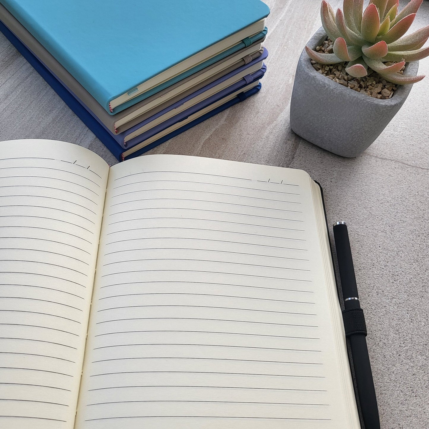 Robins Appear Grief Notebook with Matching Pen